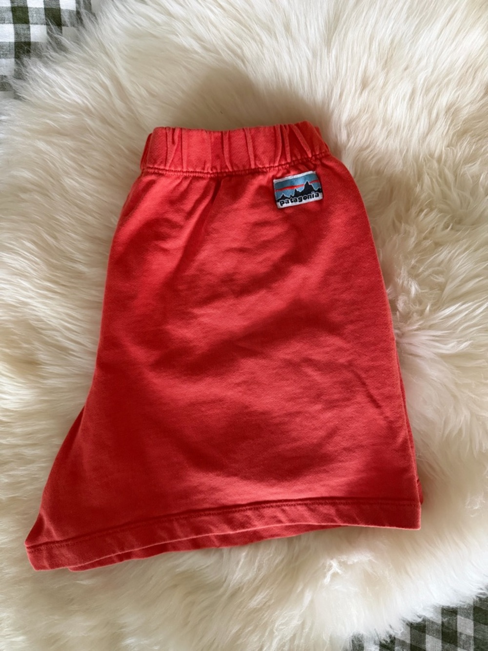 Patagonia Women’s Shorts with Logo Patch